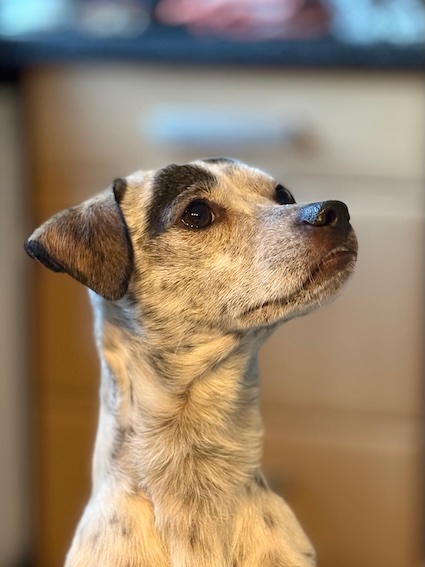 Oskar Bild 2